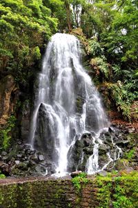 Scenic view of waterfall in forest