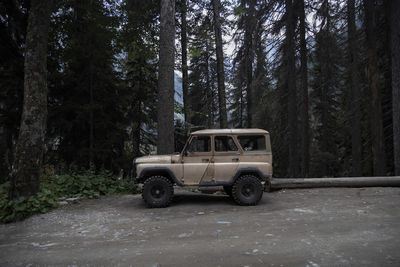 Vintage car on road by trees in forest during winter