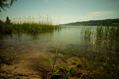 Scenic view of lake against sky