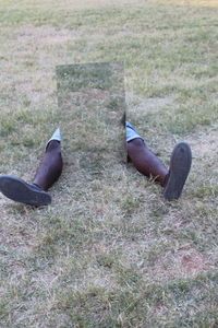 High angle view of shoes on grass