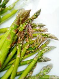 Close-up of salad served on table