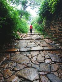 Rear view of man standing amidst trees