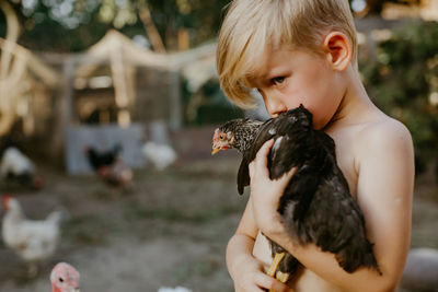 Close-up of cute boy holding chicken