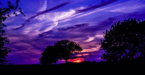 Silhouette of trees on field against cloudy sky