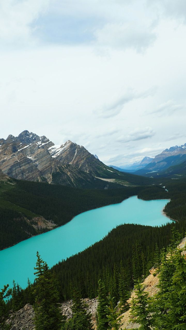 nature, scenics, mountain, landscape, sky, beauty in nature, tranquil scene, tranquility, outdoors, travel destinations, no people, water, cloud - sky, forest, tree, grass, day, freshness