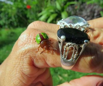 Close-up of cropped hand