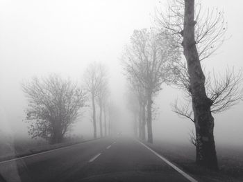 Road passing through forest