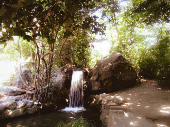 Scenic view of waterfall