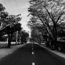 Road amidst trees and city against sky