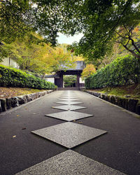 Empty road amidst trees