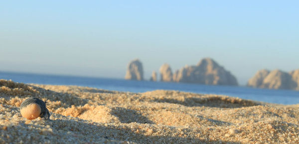 Scenic view of beach