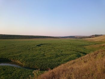 Scenic view of field against clear sky