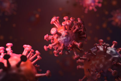 Close-up of biological cells