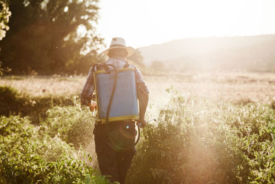 Rear view of man spraying pesticide on plants in farm