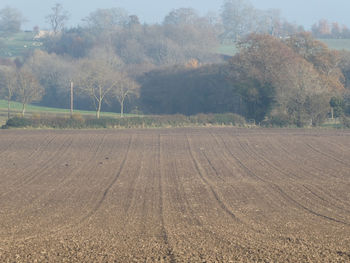 Road by trees on field against sky