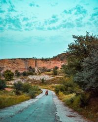 People walking on road amidst trees against sky