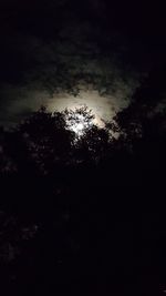 Low angle view of silhouette trees against sky at night