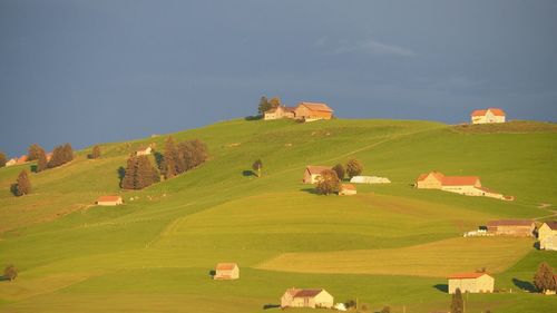 Scenic view of agricultural field against sky