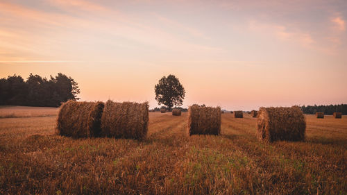 Hay bales on field against sky