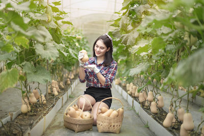 Young woman picking squashes in farm