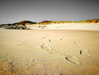 Scenic view of beach against clear sky