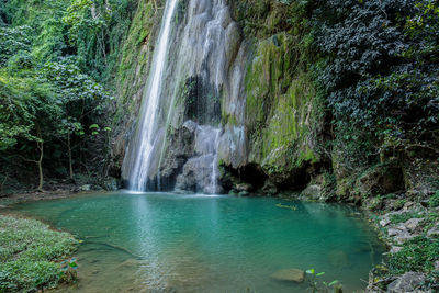 Scenic view of waterfall in forest