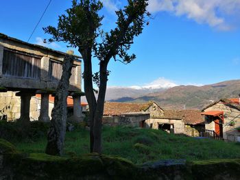 Houses by trees and buildings against sky