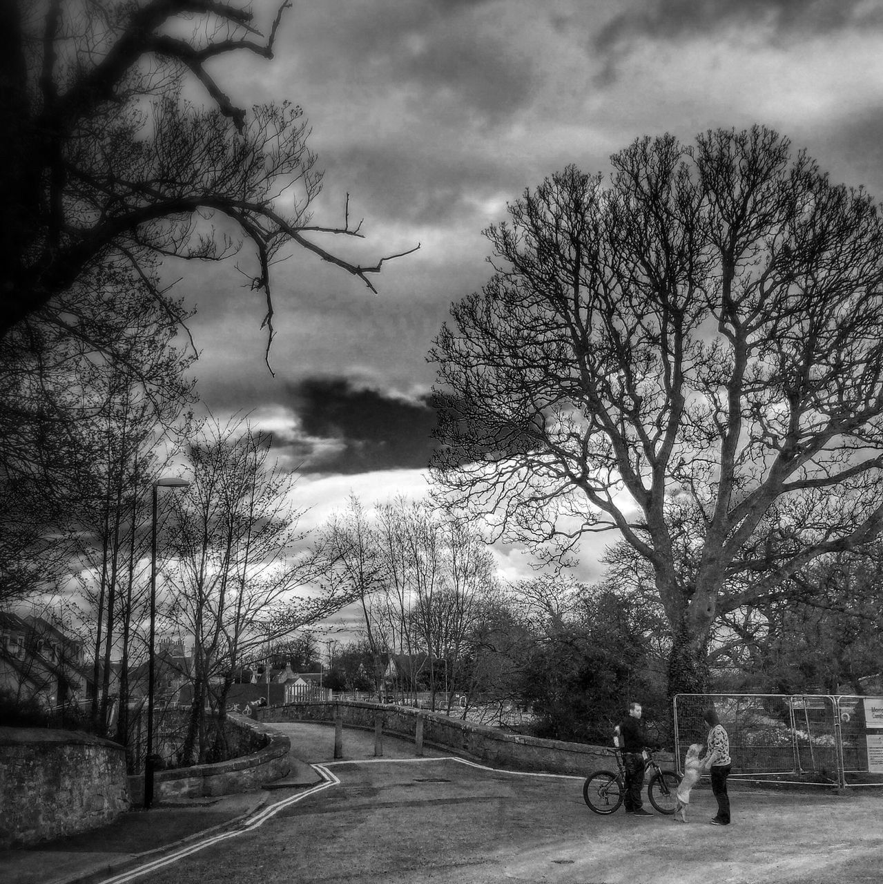 tree, sky, cloud - sky, cloudy, transportation, cloud, men, the way forward, lifestyles, bare tree, person, street, road, leisure activity, walking, bicycle, built structure, building exterior, day