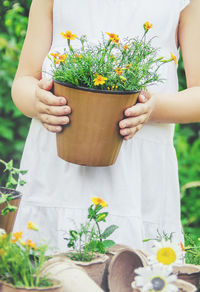 Midsection of woman holding potted plant
