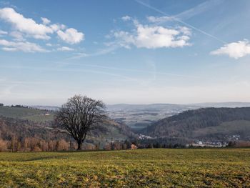 Scenic view of field against sky