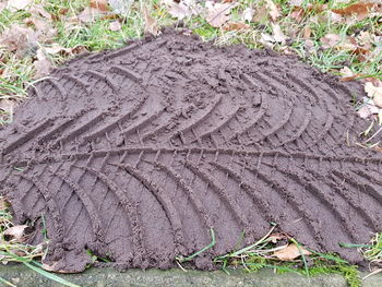 High angle view of a field