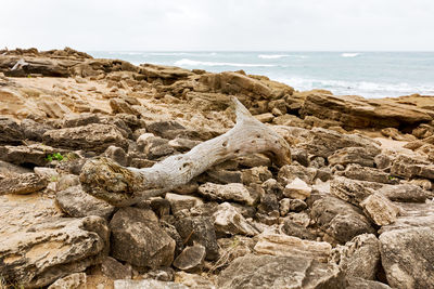 Rocks on beach against sky