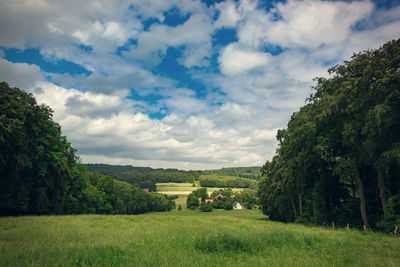 Scenic view of grassy field against cloudy sky