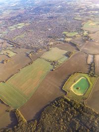 Aerial view of agricultural field