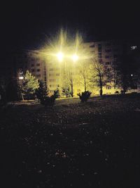 Illuminated street lights by buildings in city at night