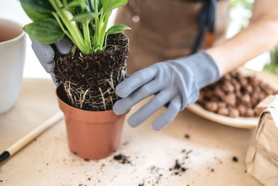 Midsection of person gardening