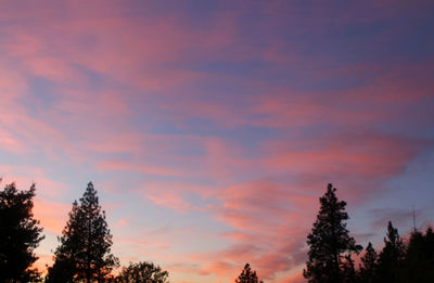 Low angle view of silhouette trees against sky