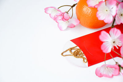 Close-up of orange flowers against white background