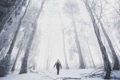 Woman walking in the forest