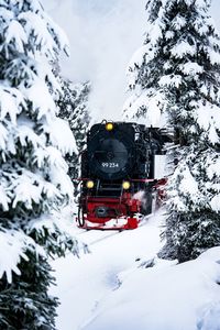 Train on snow covered mountain