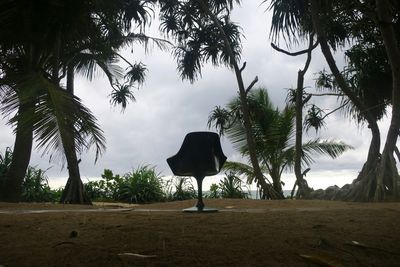 Palm trees on beach against sky