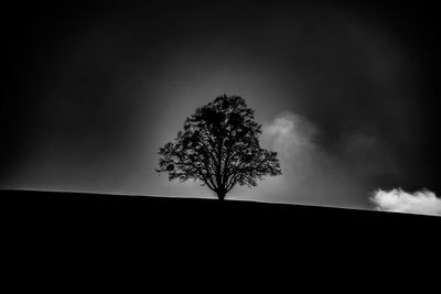 Low angle view of silhouette tree on field against sky