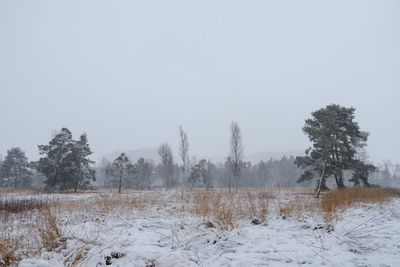winter