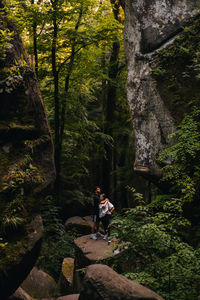 Rear view of man walking on footpath in forest