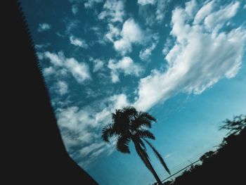 Low angle view of silhouette coconut palm tree against sky