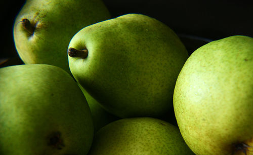 Close-up of anjou pears