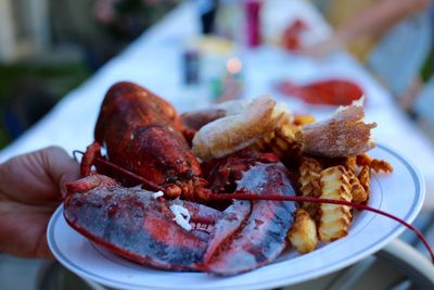 Close-up of hand holding meat in plate