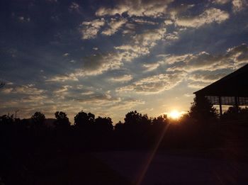 Silhouette of trees at sunset