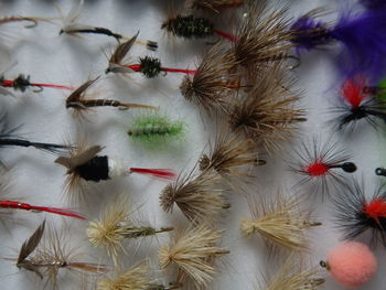 High angle view of fishing baits