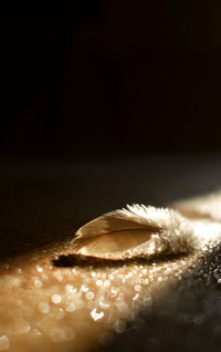 Close-up of illuminated light over black background